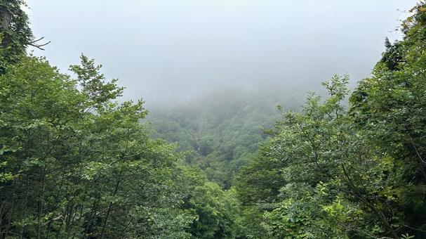 Photo, fog, mountain, natural, 