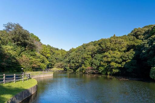 秋空の蓮ヶ池史跡公園 青空,秋空,空の写真素材