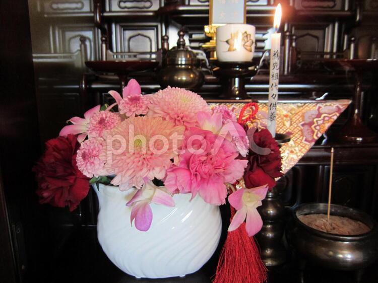 仏壇の花。 お盆,仏事,仏前の写真素材