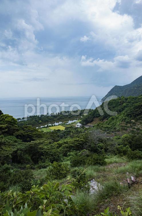 沼津市井田の風景 沼津,井田,明神池の写真素材