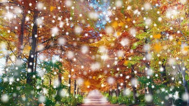 クリスマスロード クリスマス,サンタクロース,ツリーの写真素材