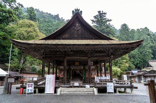 滋賀 日吉大社 西本宮 拝殿と本殿 滋賀 日吉大社 西本宮 拝殿と本殿 日吉大社,日枝社,日吉の写真素材