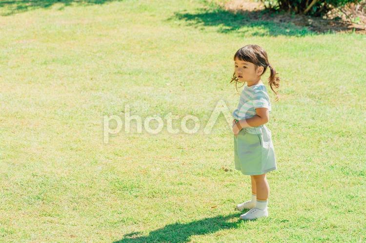 芝生の公園を走る女の子（2歳〜3歳） 子供,子ども,外遊びの写真素材