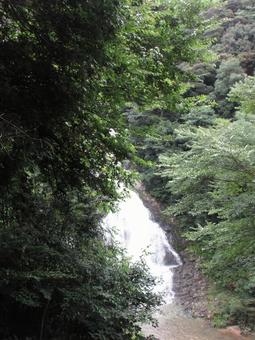 島根県-岩瀧寺の滝-近景 島根県-岩瀧寺の滝-近景の写真
