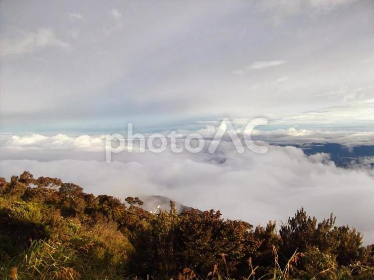 山から見る雲の絨毯 雲,雲の絨毯,山の写真素材