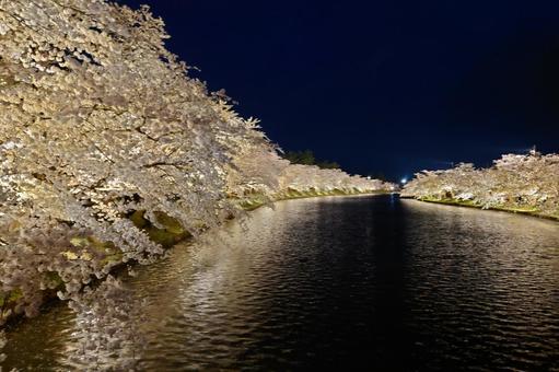 遠くのライトアップされた夜の桜と川 遠くのライトアップされた夜の桜と川 桜,夜桜,川の写真素材