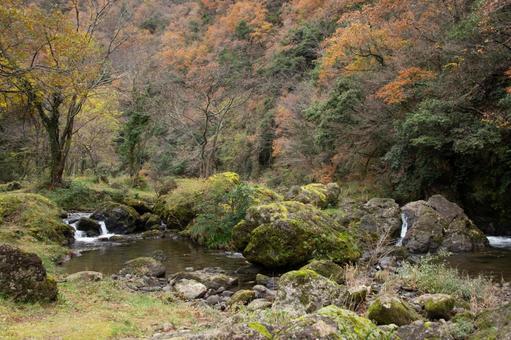 秋の荒俣峡 秋の荒俣峡 紅葉,自然,風景の写真素材