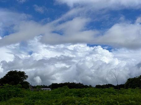夏の空 夏の空 夏の雲,空,空模様の写真素材