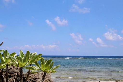 海と空 久高島 海と空 久高島の写真