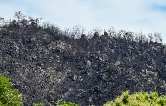 山火事のあと〜岡山市南区 山火事のあと〜岡山市南区 山林火災,林野火災,自然災害の写真素材