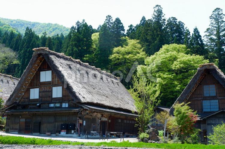 世界遺産　白川郷の町並み 白川郷,世界遺産,空の写真素材
