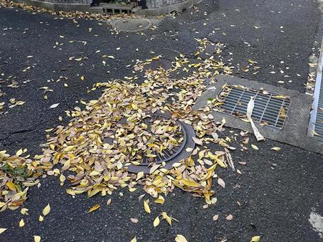 落ち葉に埋もれたマンホール 落ち葉,マンホール,枯れ葉の写真素材