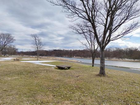 公園 公園の写真