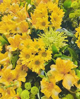 黄色の花 黄色の花 花,花束,フラワースタンドの写真素材