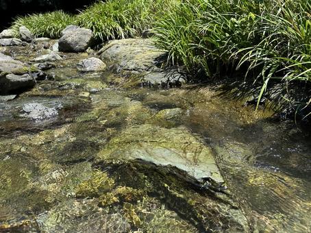 The river and grass are so clear you can see the bottom., chuan, clear stream, clear water, JPG