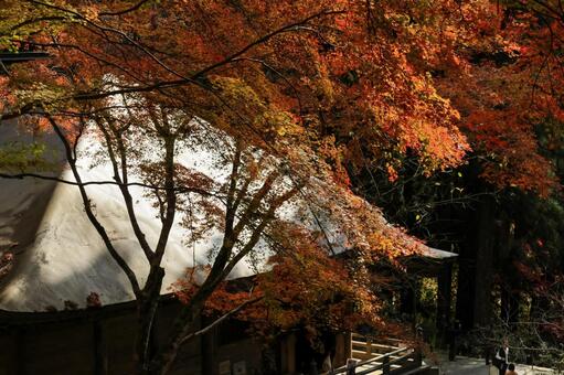 室生寺 室生寺,女人高野,金堂の写真素材