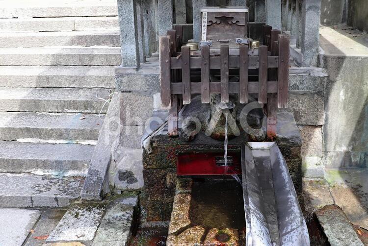 参道脇で湧き出す亀の名水 亀の水,湧き水,名水の写真素材