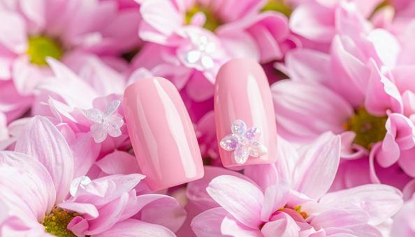 ピンクの花の上に置かれたネイルチップ ピンクの花の上に置かれたネイルチップの写真