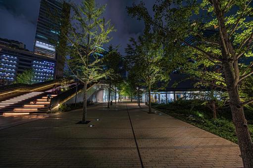 都市夜景 都市夜景 都市夜景,夜景,大阪の写真素材
