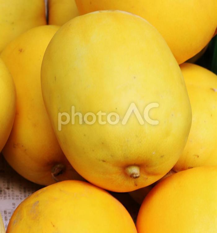 マクワウリ（真桑瓜） マクワウリ,瓜,真桑瓜の写真素材