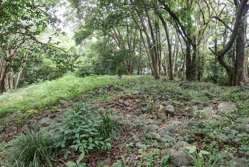 曲崎古墳群 曲崎古墳群 まがり崎古墳群,積石塚,遺構の写真素材