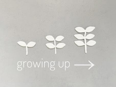 成長、growing、伸びる(明るめ) 成長、growing、伸びる(明るめ) 成長,growing,upの写真素材
