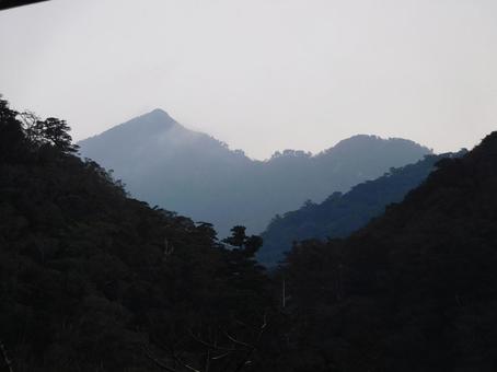 屋久島 屋久島,国立公園,荒川登山口の写真素材