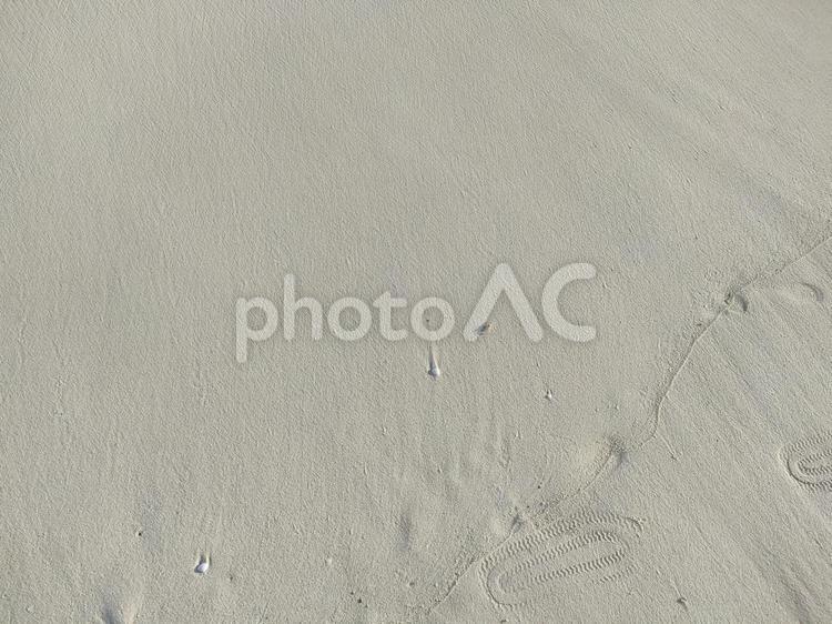 波が引いた砂浜 砂浜,波打ち際,波の写真素材