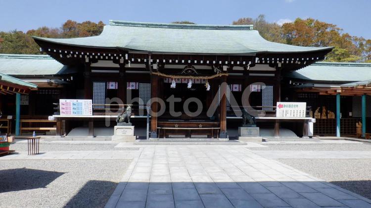 山口県防府天満宮の拝殿 山口県,防府天満宮,拝殿の写真素材