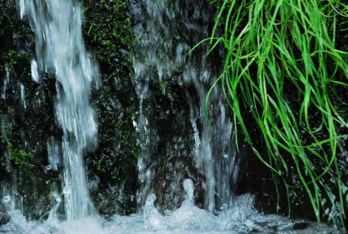 小さな滝 小さな滝 滝,小川,水の写真素材