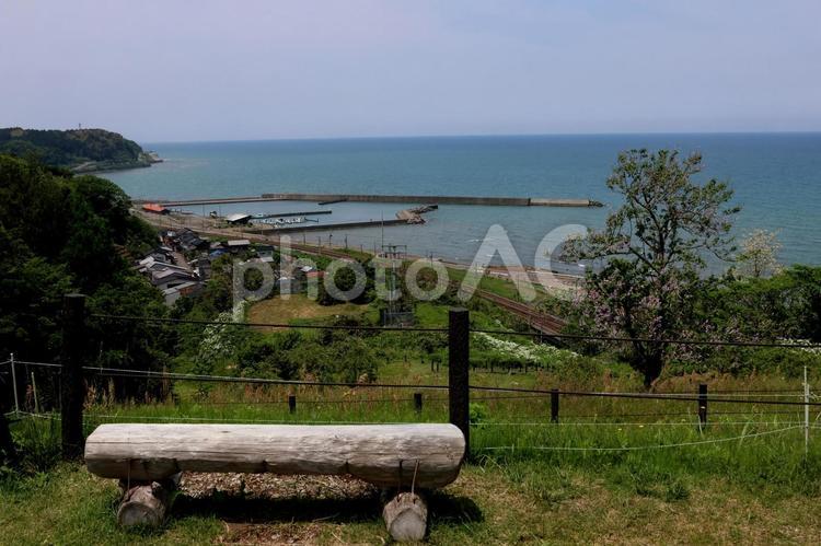 海の見える丘 海の見える丘,たにはま公園,海の写真素材