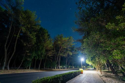 夜の阿波岐原パークウェイ 夜の阿波岐原パークウェイの写真