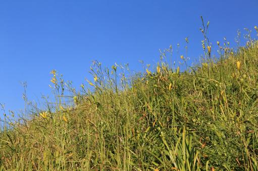 伊豆半島最南端のユウスゲ公園の景色 伊豆半島最南端のユウスゲ公園の景色の写真