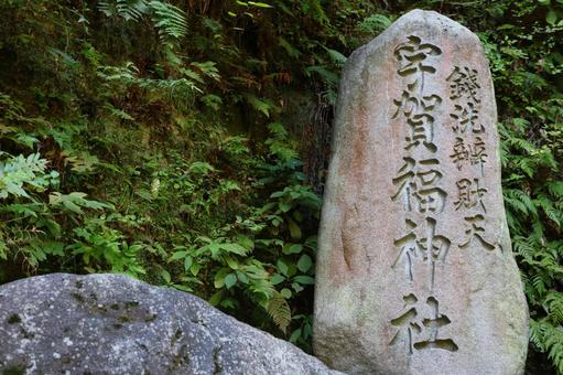 銭洗弁財天宇賀福神社 銭洗弁財天宇賀福神社 銭洗弁財天,宇賀福神社,鎌倉市の写真素材