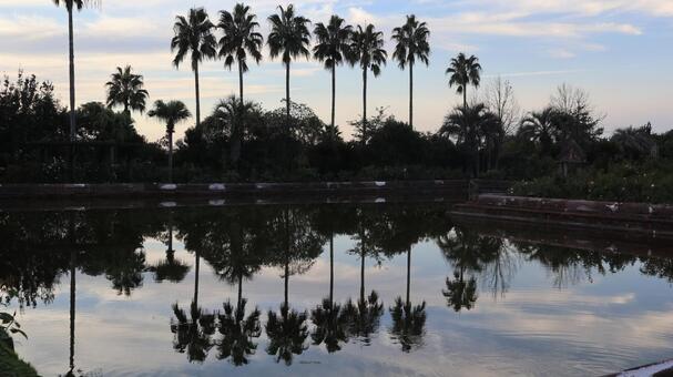 夕空と水面に反射する木々 夕空と水面に反射する木々の写真