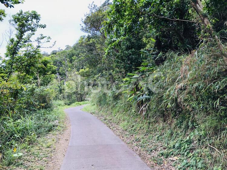 宮古崎（奄美大島） 宮古崎,奄美大島,鹿児島の写真素材