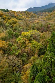 雲の下、色づく日本の山脈の写真