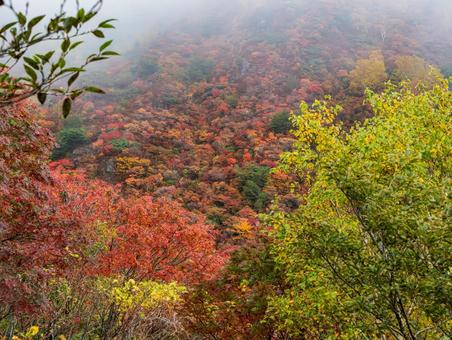 紅葉の那須岳 那須岳,紅葉,朝日岳の写真素材