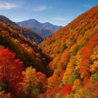 秋の山 紅葉風景 秋の山 紅葉風景の写真