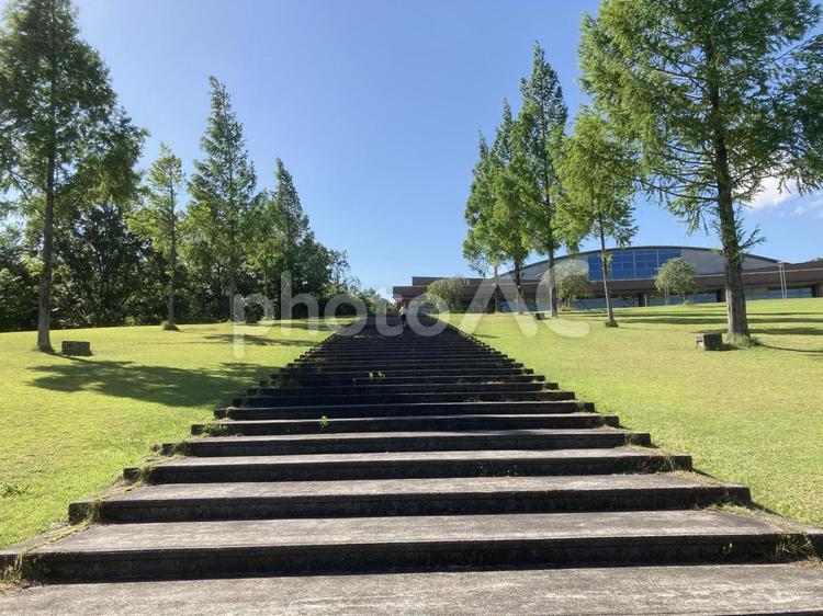 長い階段 階段,公園,芝生の写真素材