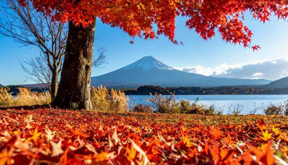 紅葉の中の富士山 2 紅葉の中の富士山 2の写真
