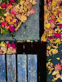 公園の落葉 紅葉,背景,待受の写真素材