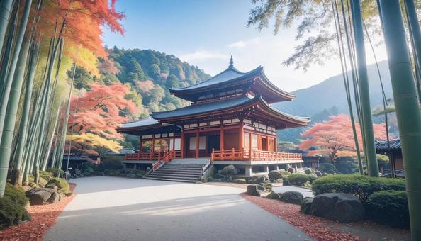 京都 竹 京都 竹の写真