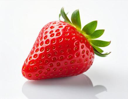 いちご 苺 1個 白背景 いちご 苺 1個 白背景の写真