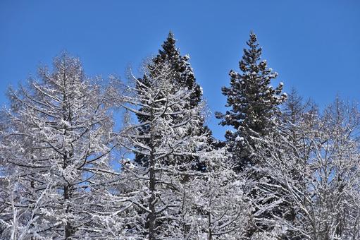 青空と雪の高原の景色（3） 雪景色,雪国,高原の写真素材