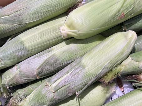Corn pile, JPG