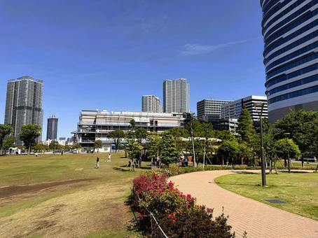 豊洲公園から見た東京の街 2025年春 豊洲公園から見た東京の街 2025年春 東京,港区,豊洲の写真素材