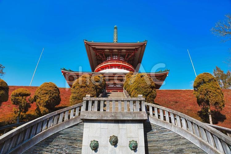 平和大塔（成田山新勝寺） 平和大塔,成田山新勝寺,新勝寺の写真素材