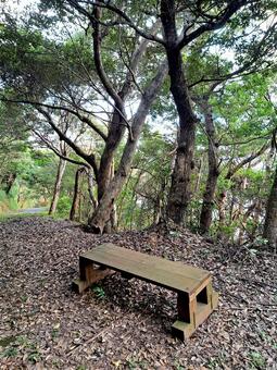 奄美大島　大和村 奄美大島,奄美,大和村の写真素材