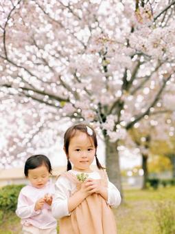 桜の前で嬉しそうな女の子 桜の前で嬉しそうな女の子 桜,さくら,サクラの写真素材